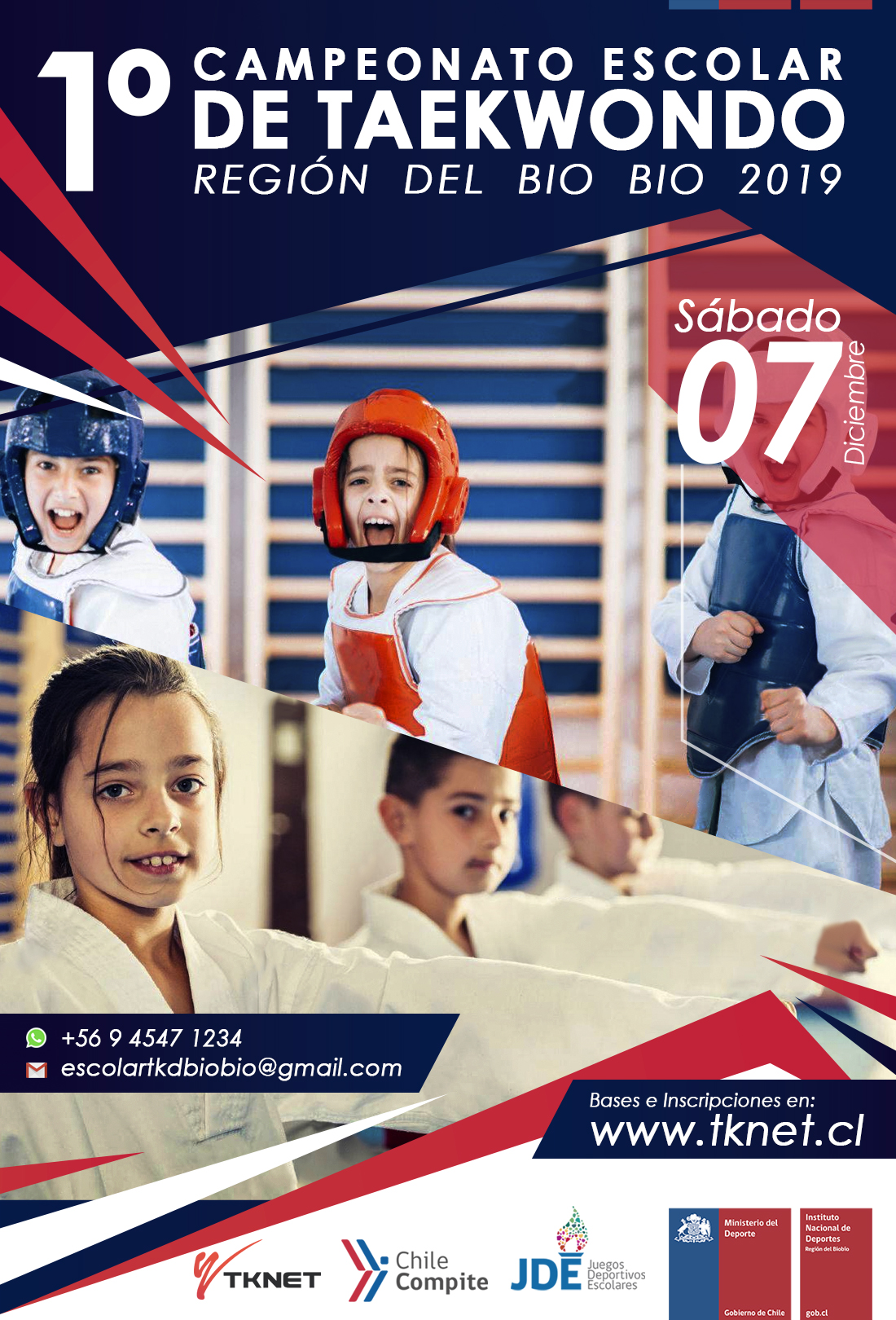 CAMPEONATO ESCOLAR DE TAEKWONDO REGION DEL BIO BIO 2019