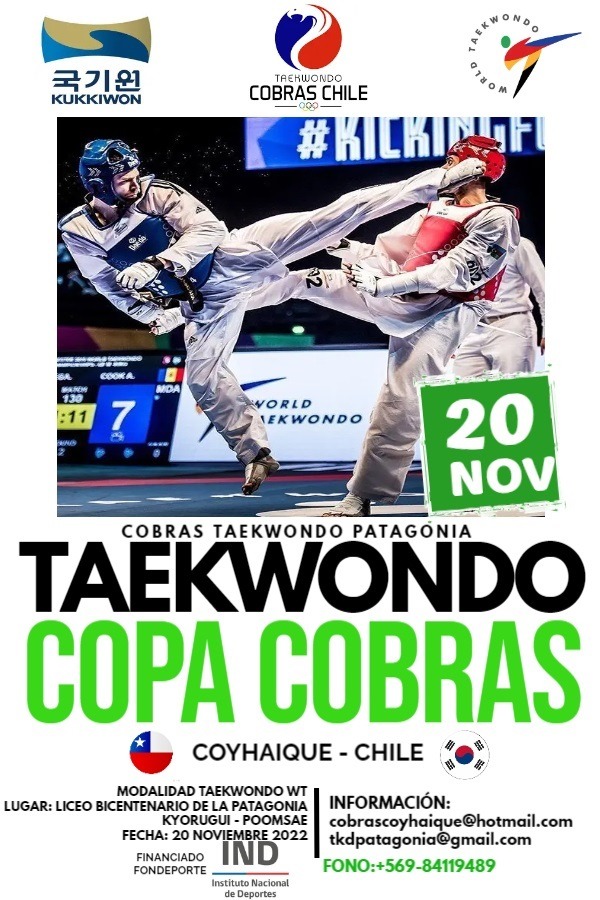 COPA COBRAS COYHAIQUE