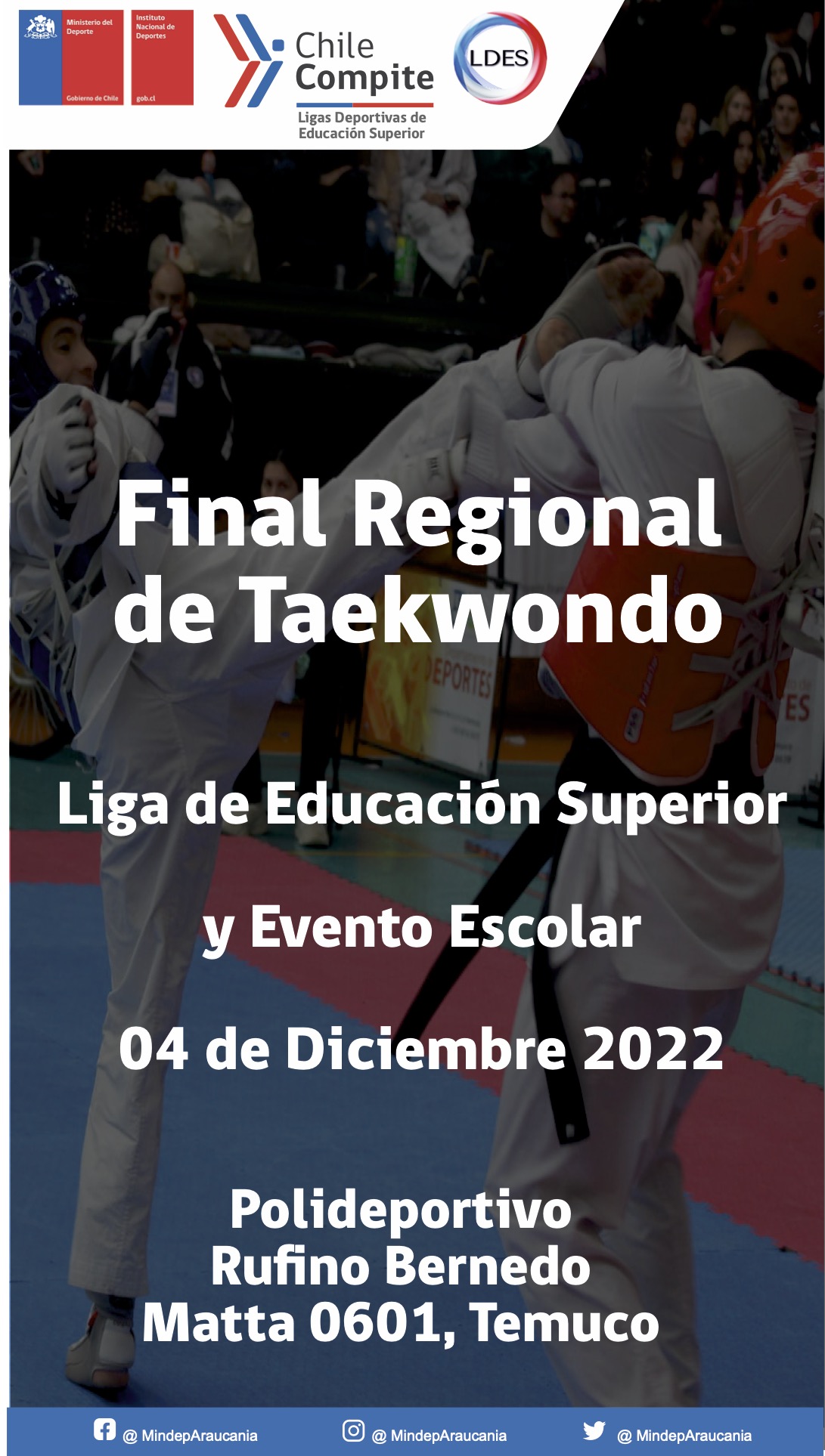 Competencia de educación superior región de la araucanía