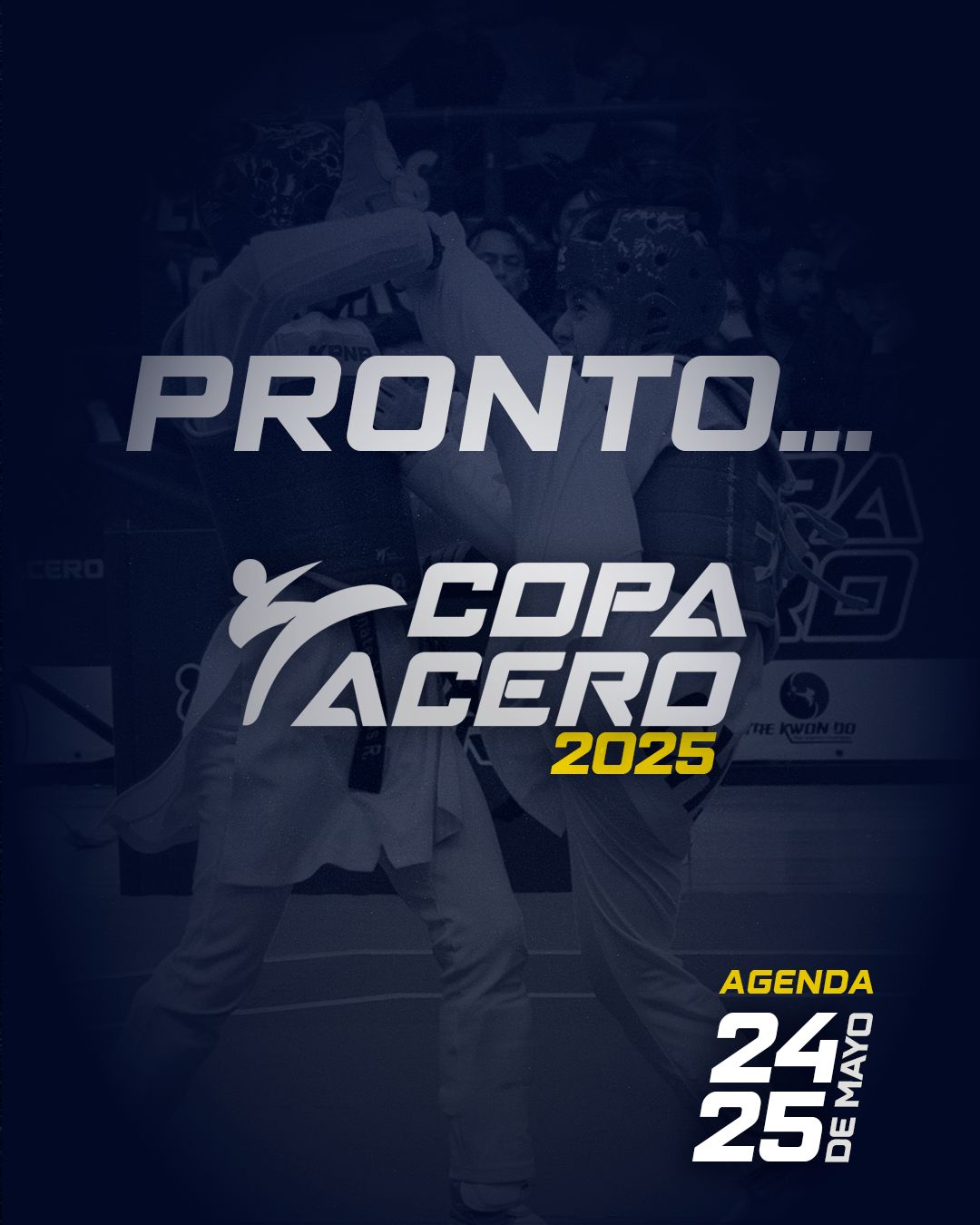 CAMPEONATO NACIONAL "COPA ACERO 2025"