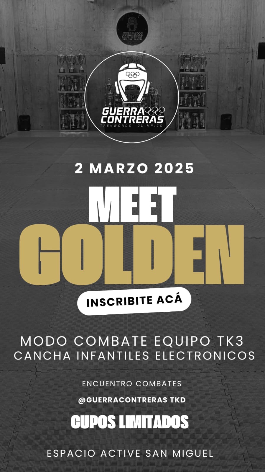 Golden Meet (Encuentro de Combates)